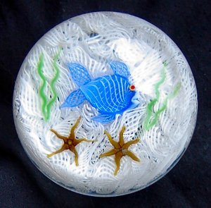 fish on scrambled muslin background