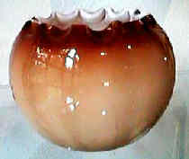Italian plated amberina 